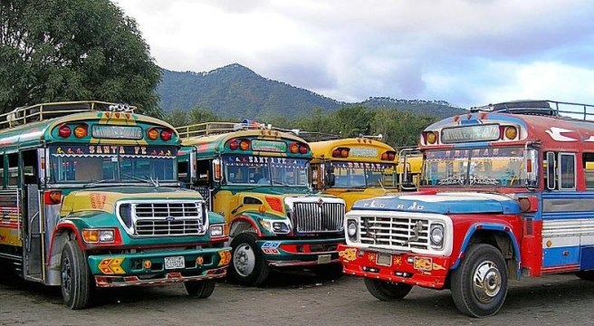 chicken-buses